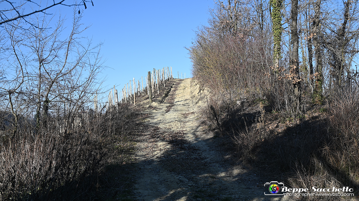 VBS_0707 - Madonna dei Boschi - Vezza d'Alba.jpg